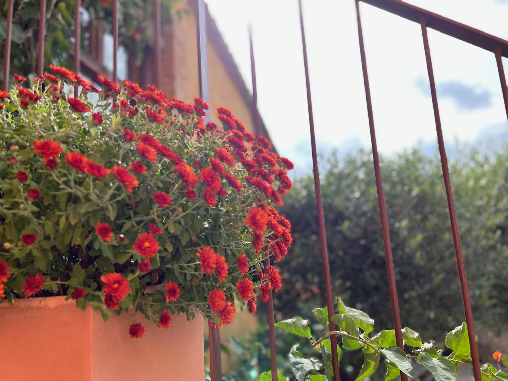 Hotel Les Vinyes Rural Boutique & Vilardida