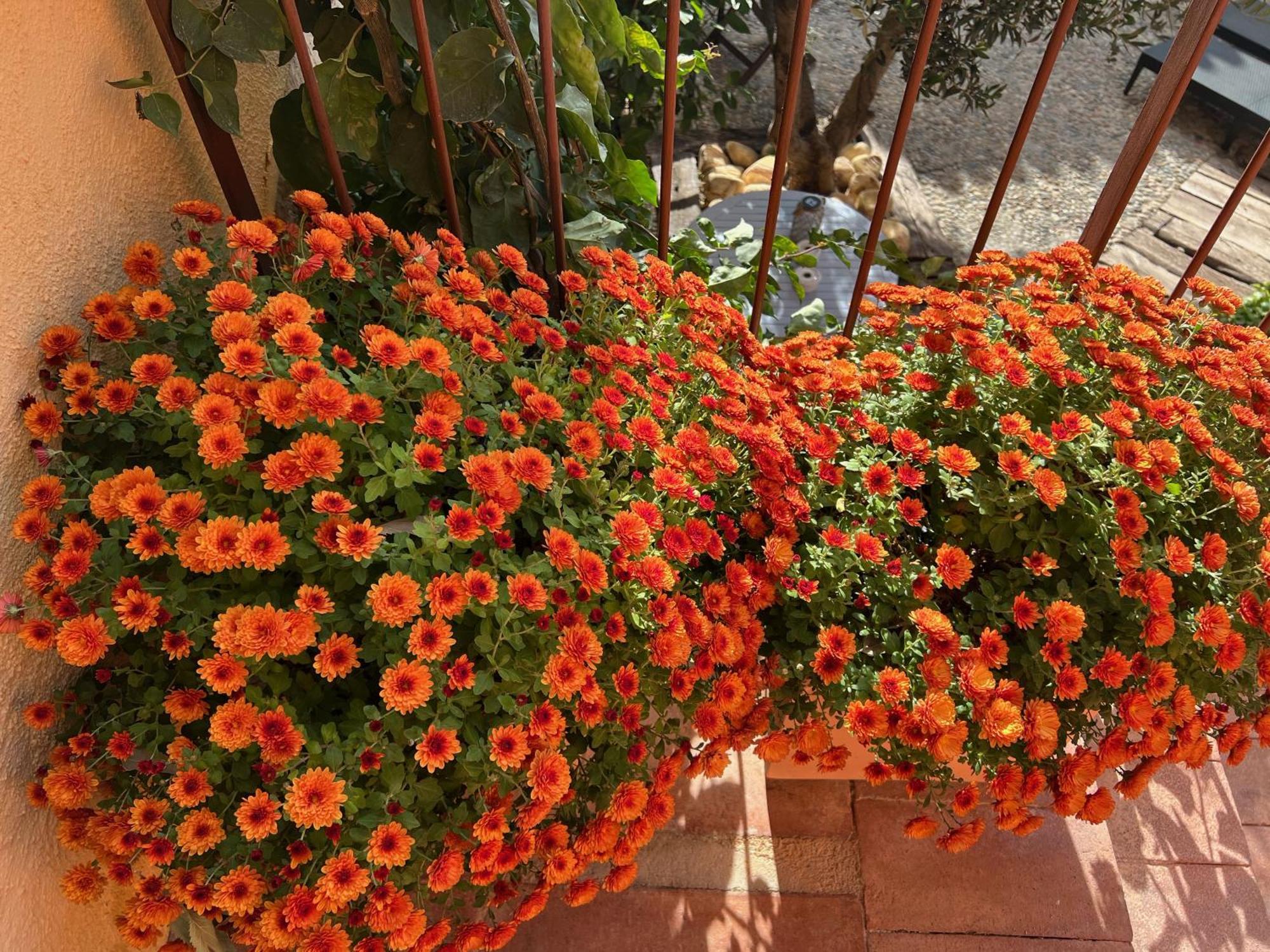 Hotel Les Vinyes Rural Boutique &